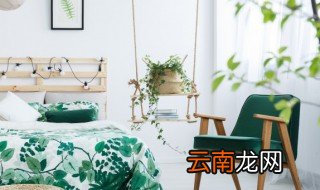 驱蚊草能放卧室吗 驱蚊草可不可以放卧室