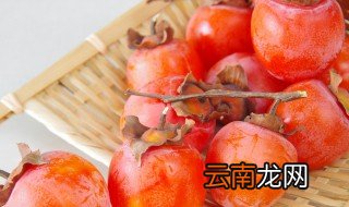 柿子不能与什么同食 柿子不能和什么一起吃