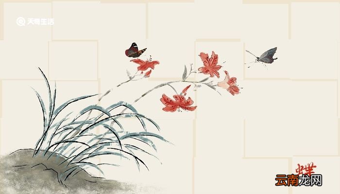 采薇古诗意思解释 采薇古诗的意思简短