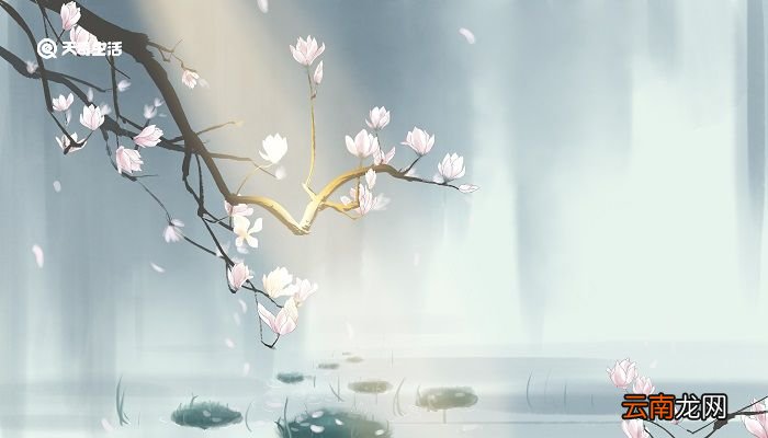 采薇古诗意思解释 采薇古诗的意思简短