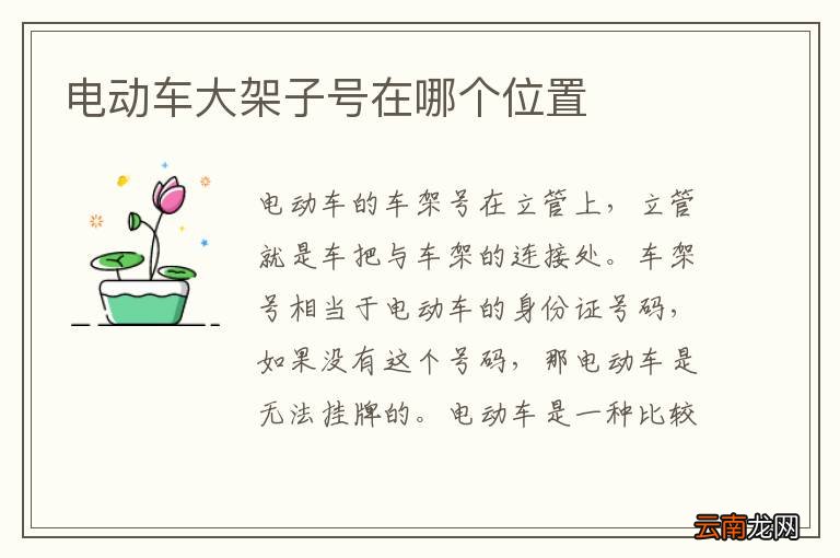 电动车大架子号在哪个位置