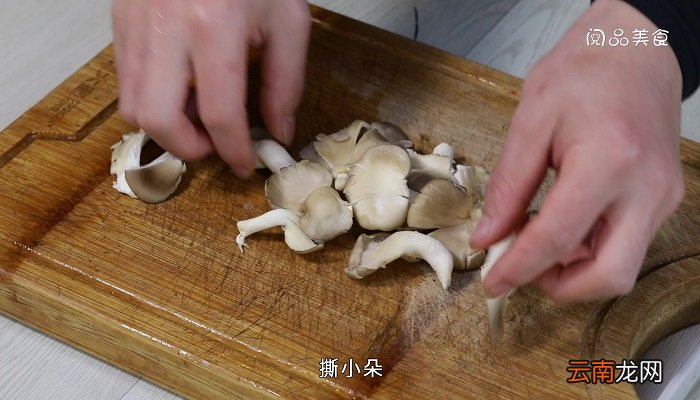 温拌凤尾菇的做法 温拌凤尾菇怎么做