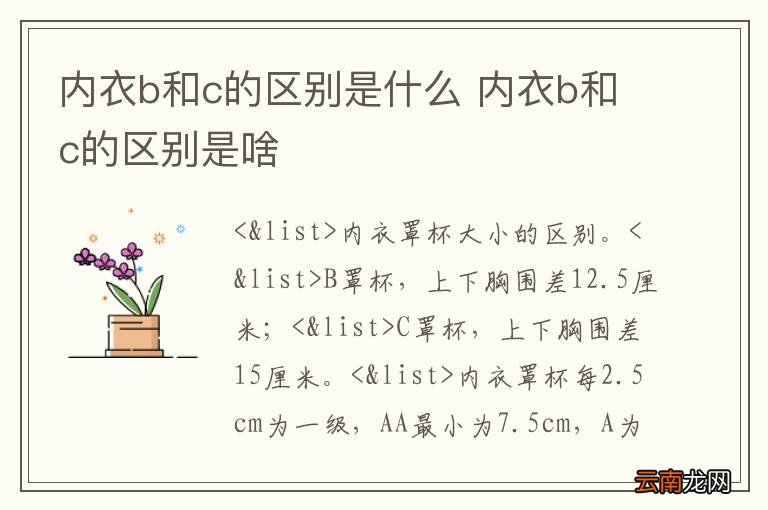 内衣b和c的区别是什么 内衣b和c的区别是啥