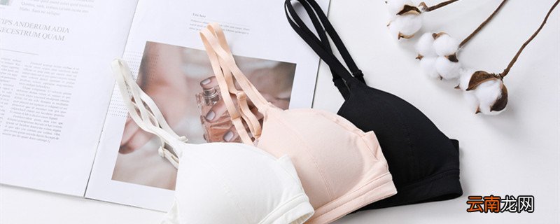 内衣b和c的区别是什么 内衣b和c的区别是啥