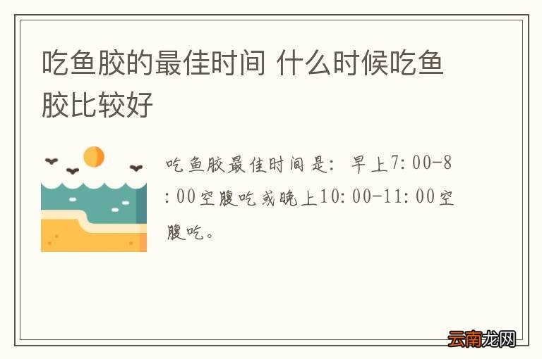 吃鱼胶的最佳时间 什么时候吃鱼胶比较好