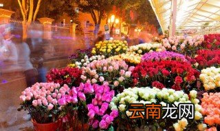 逛花市的起源为什么要逛花市 逛花市的起源要逛花市是为什么