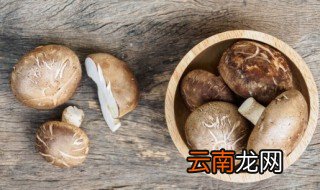 香菇干怎么泡发 香菇干怎样泡发