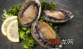 干鲍鱼怎么泡发最好 干鲍鱼怎样泡发最好呢