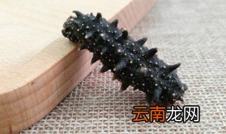 海参怎么泡发的 海参怎样泡发的