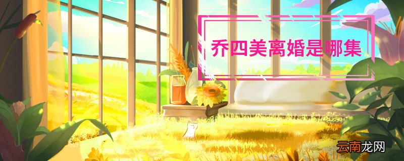 乔四美离婚是哪集 乔四美喜欢谁