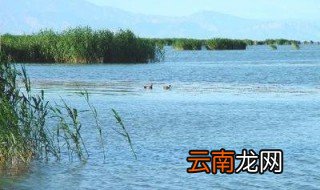 中国有几大淡水湖 五大淡水湖