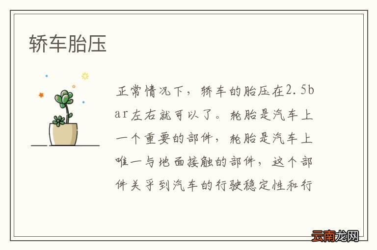 轿车胎压