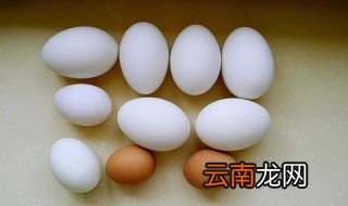 吃鹅蛋有什么好处和功效 吃鹅蛋4个好处和功效