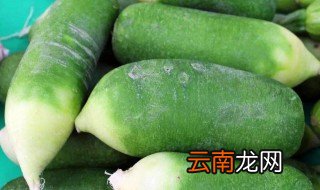 青萝卜的功效与作用 一起了解一下