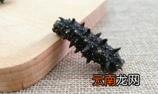 海参浸泡方法 海参如何浸泡