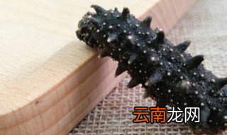 干海参发泡的方法 干海参发泡的方法有哪些