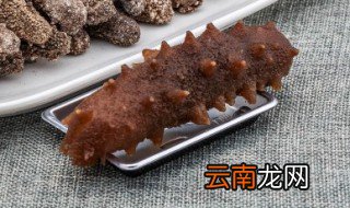 浸泡海参的方法 浸泡海参的方法有哪些