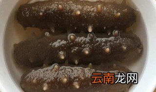 快速泡发海参的方法 怎么泡发海参
