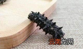 干货海参的泡发方法 干货海参的泡发方法有哪些