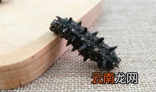 如何泡海参的方法 怎样泡海参