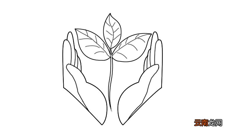 环保简笔画怎么画环保简笔画画法