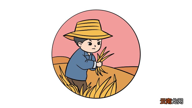 芒种的简笔画该怎么画芒种的简笔画教程