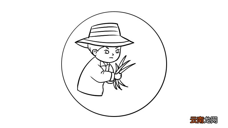 芒种的简笔画该怎么画芒种的简笔画教程