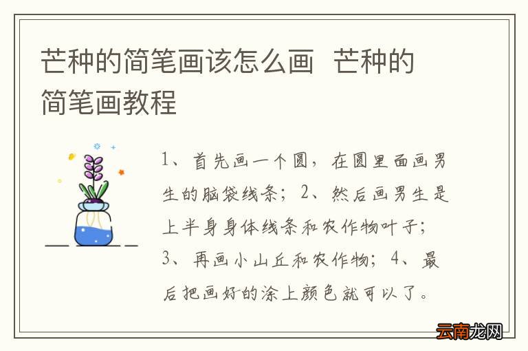 芒种的简笔画该怎么画芒种的简笔画教程