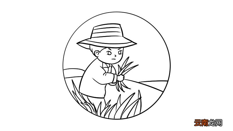 芒种的简笔画该怎么画芒种的简笔画教程