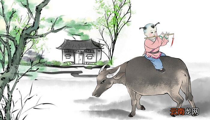 村晚描绘了一幅怎样的图景 村晚一诗描绘了一副什么样的图景