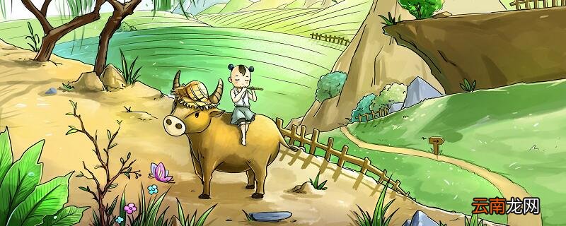 村晚描绘了一幅怎样的图景 村晚一诗描绘了一副什么样的图景