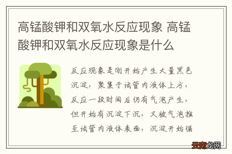 高锰酸钾和双氧水反应现象 高锰酸钾和双氧水反应现象是什么