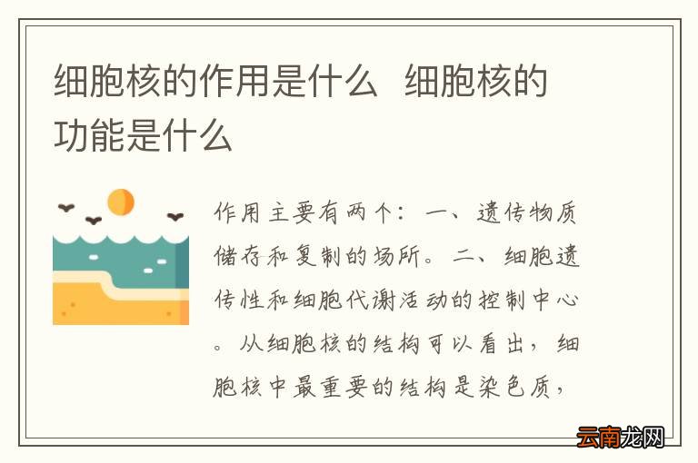 细胞核的作用是什么细胞核的功能是什么