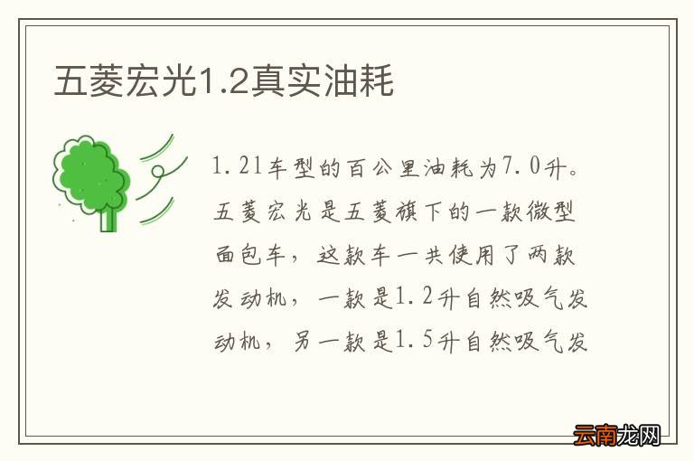 五菱宏光1.2真实油耗