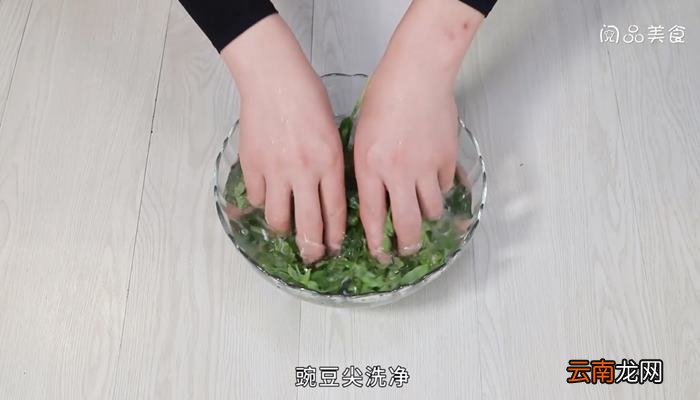 银鱼豌豆尖汤的做法 银鱼豌豆尖汤怎么做