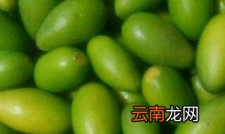 鲜橄榄的功效 鲜橄榄的功效讲解