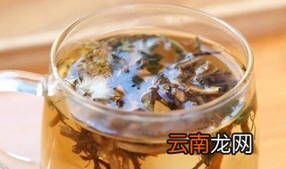 山楂蒲公英怎么泡水 山楂蒲公英泡水的功效与作用