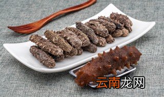 泡海参方法 怎么泡发海参