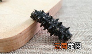 怎样泡发海参的方法 如何泡发海参