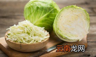 白菜属于植物类吗 白菜的介绍