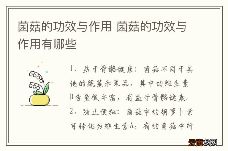菌菇的功效与作用 菌菇的功效与作用有哪些
