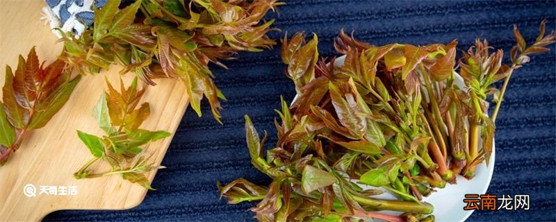 椿芽要焯水吗 香椿芽要不要焯水