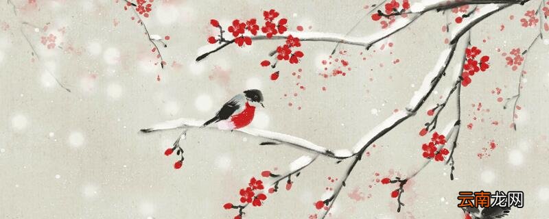 梅花香自苦寒来全诗句 梅花香自苦寒来古诗
