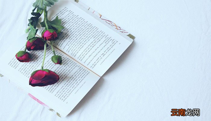 儒林外史人物形象分析 怎么分析儒林外史的人物形象