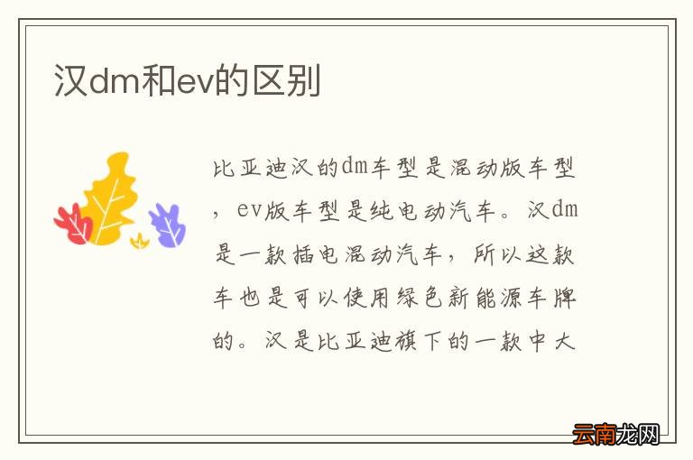 汉dm和ev的区别