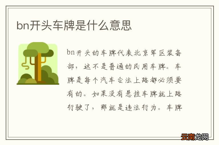 bn开头车牌是什么意思