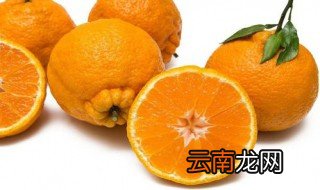 耙耙柑有什么功效 耙耙柑上火吗