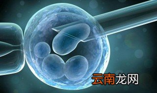 放碘半年后能试管吗 放射性碘治疗后多久能做试管婴儿