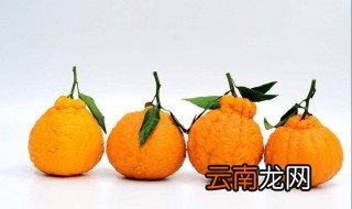 耙耙坩的功效 耙耙柑为什么那么贵