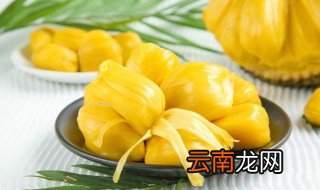 菠萝蜜果肉怎么保存 怎么保存菠萝蜜果肉